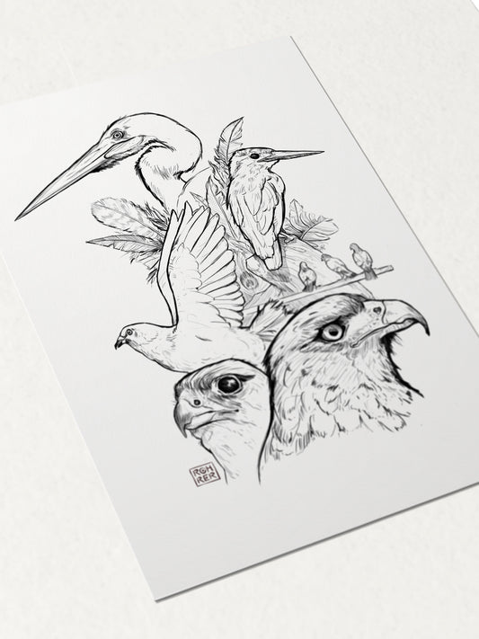 Postcard 'Birds'